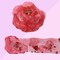 11 Pieces Crunchy Crystal Slime Kit , Super Soft and Non-Sticky, Fruit Themed Party Toy to Slime,Rich Colors Stress Relief Toy for Girls and Boys